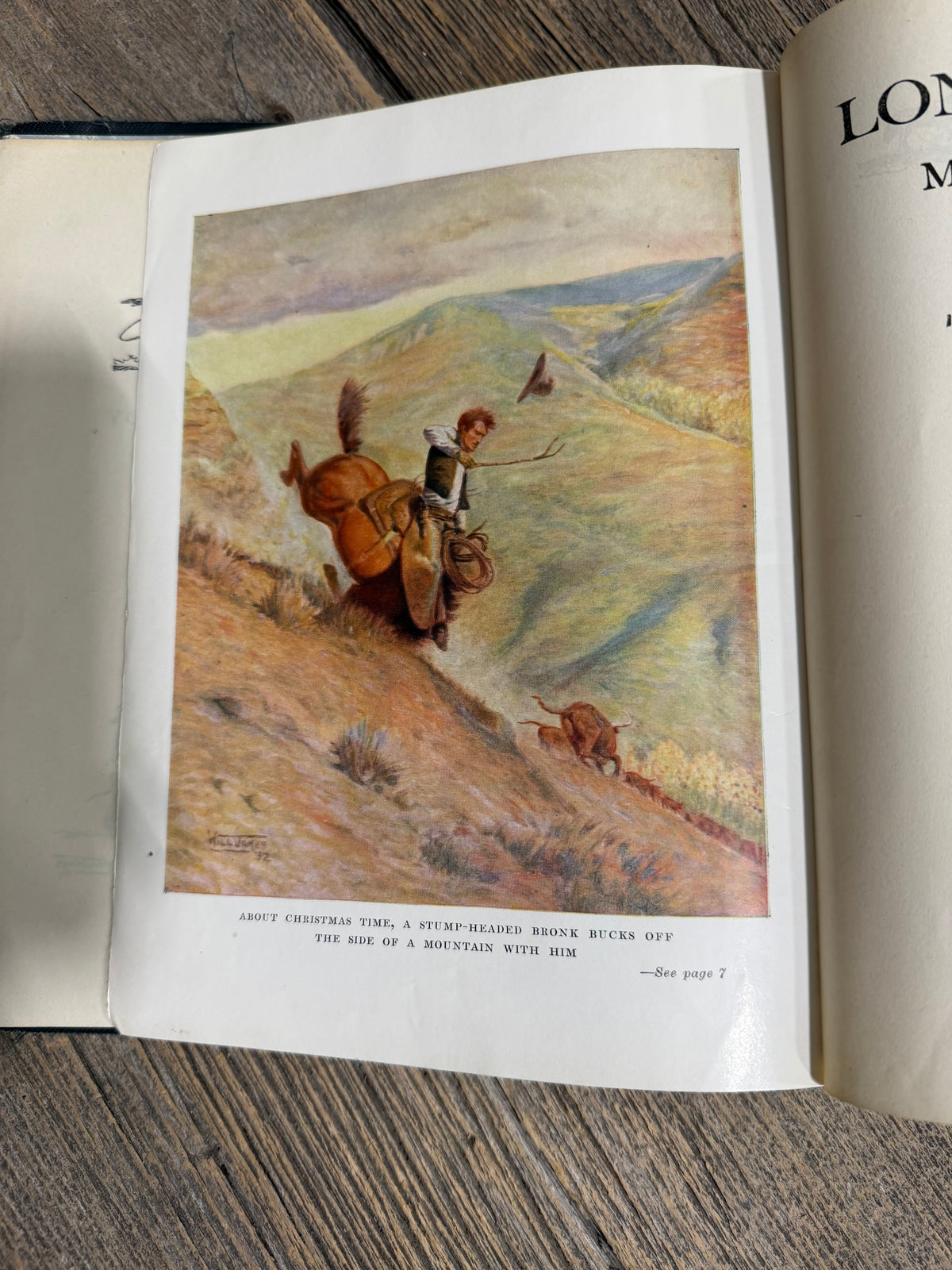 Lone Cowboy My Life Story by Will James