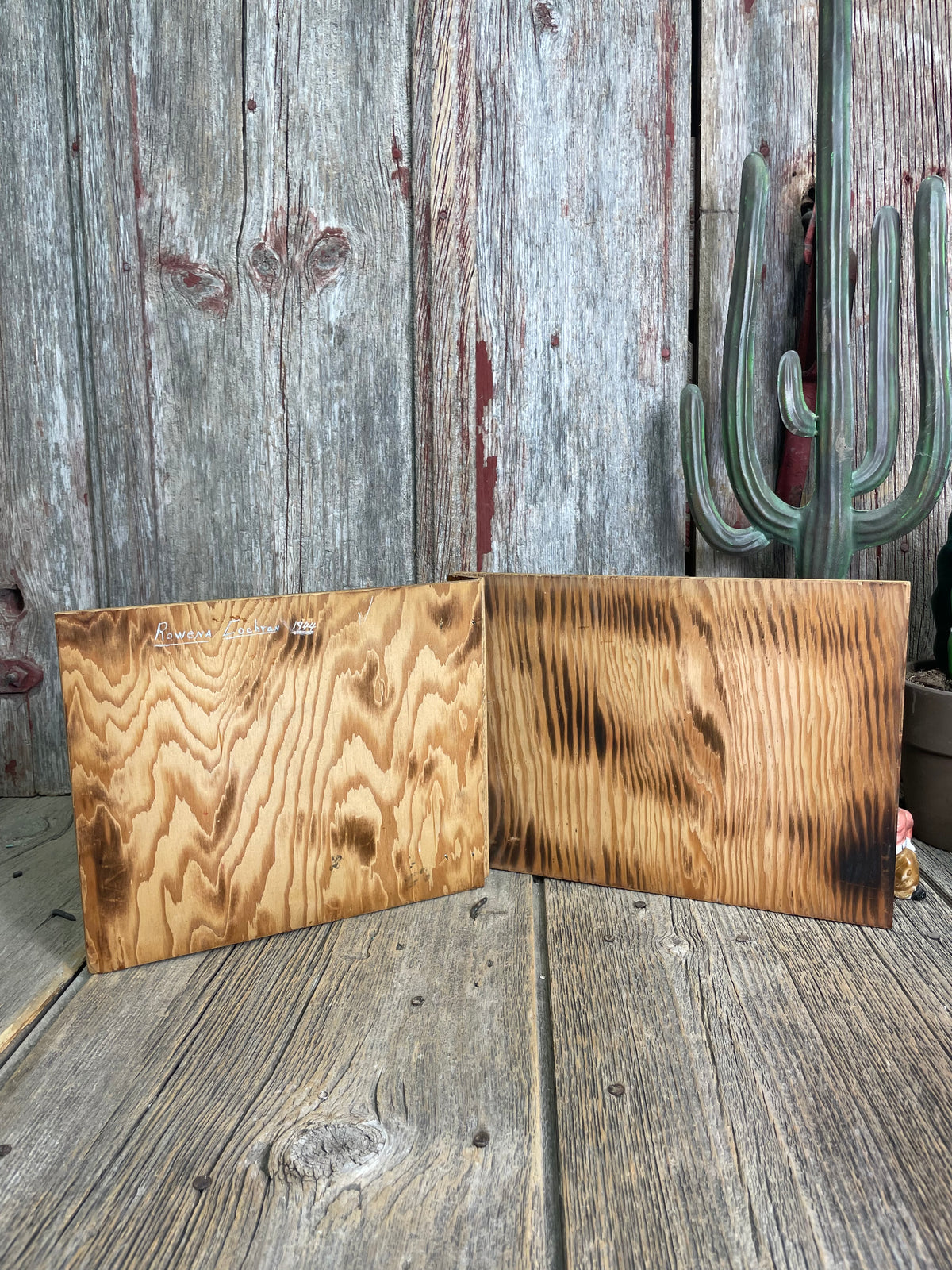 Snap Shots Bucking Bronc Photo Album