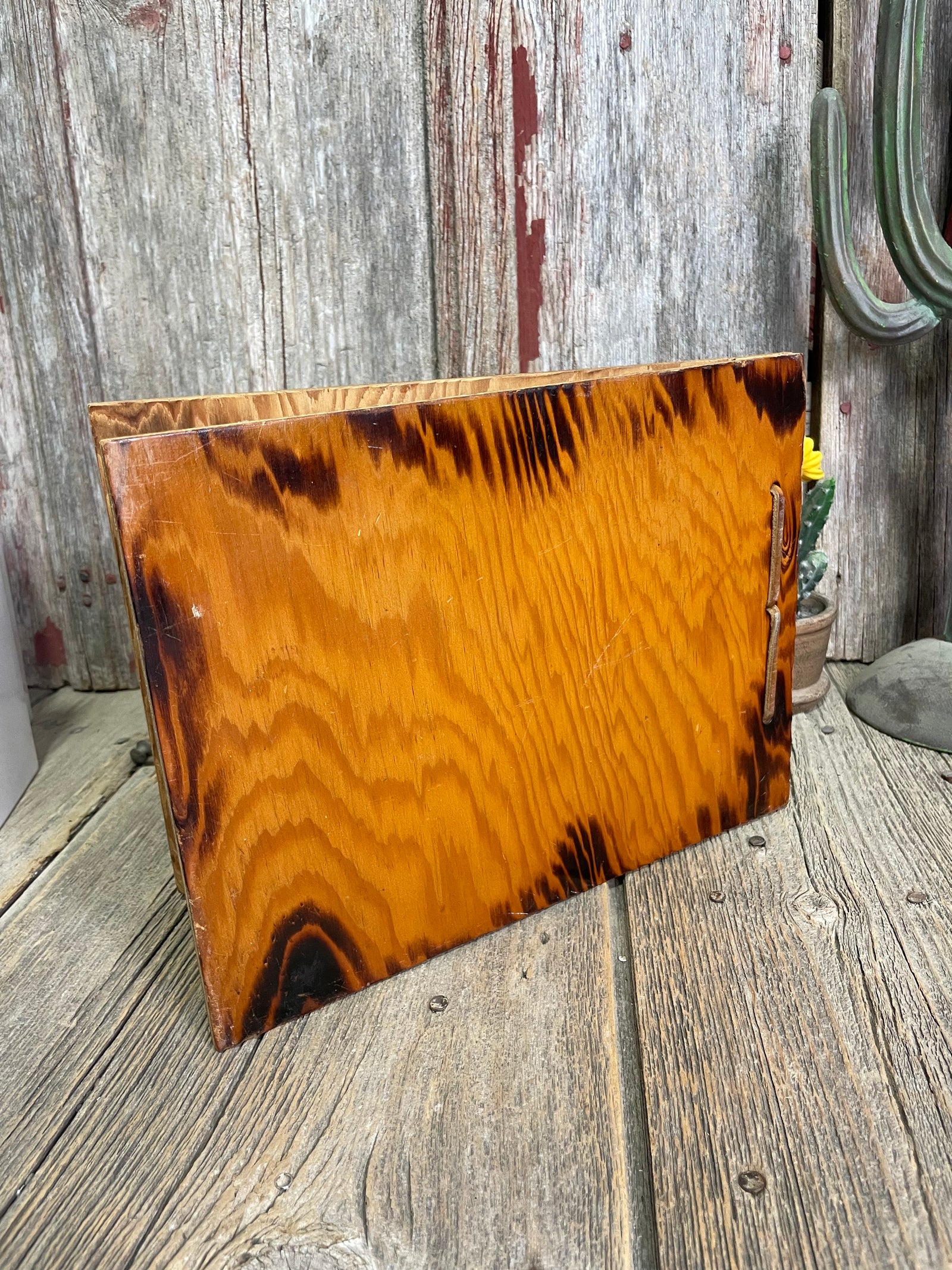 Snap Shots Bucking Bronc Photo Album