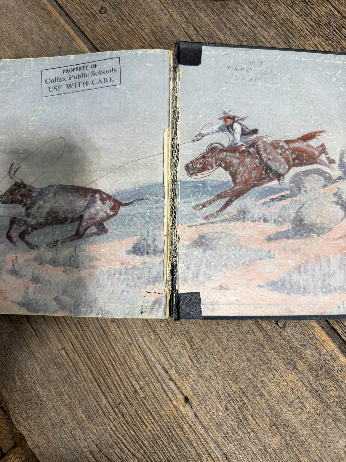 Lone Cowboy My Life Story by Will James