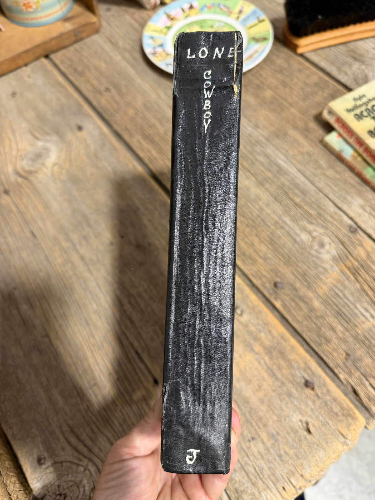 Lone Cowboy My Life Story by Will James
