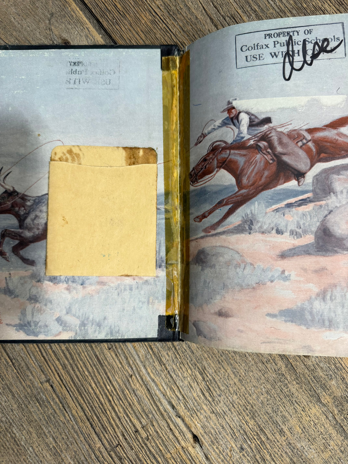 Lone Cowboy My Life Story by Will James