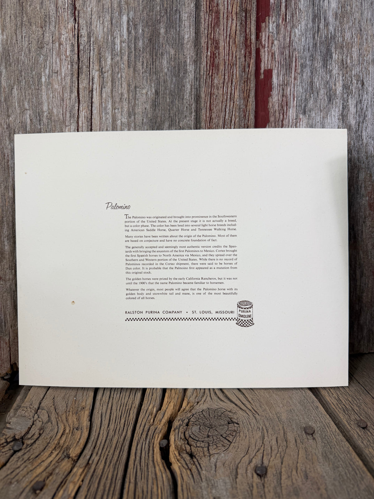 The Palomino print by John Mariani