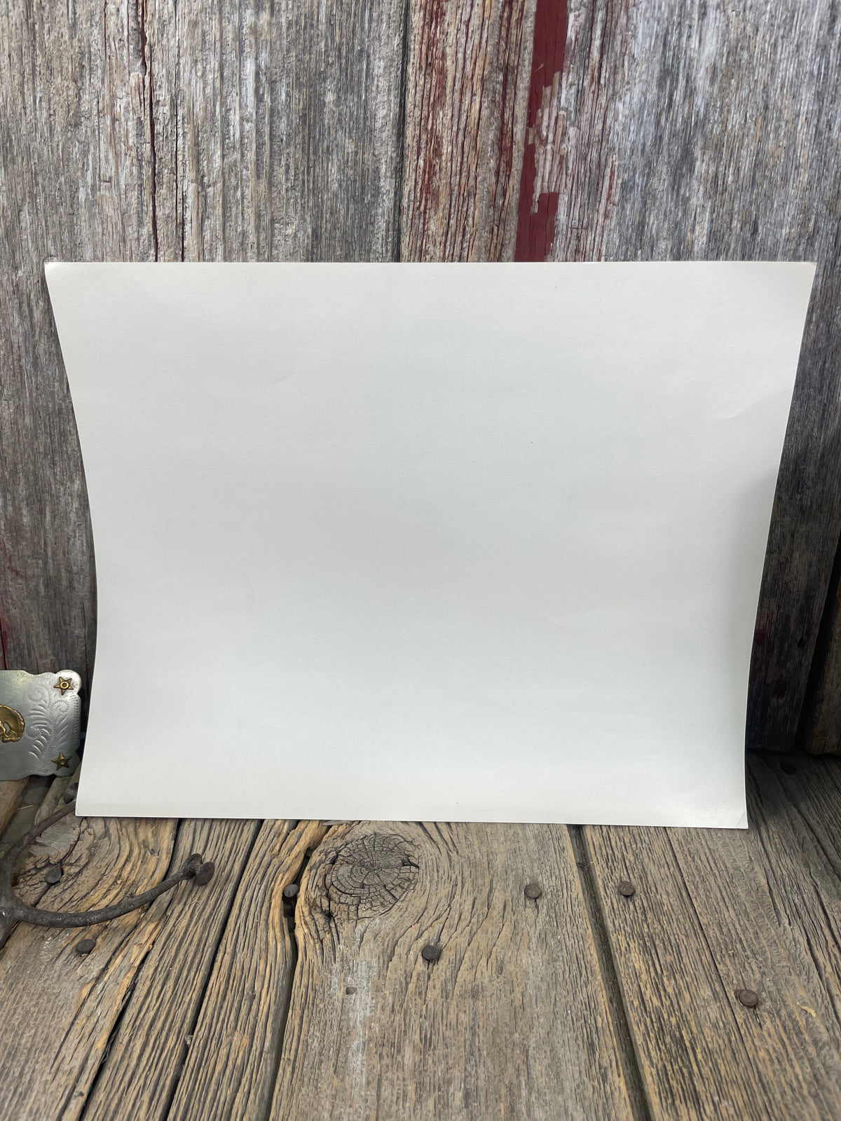 Charles Russell Print “The Medicine Man”