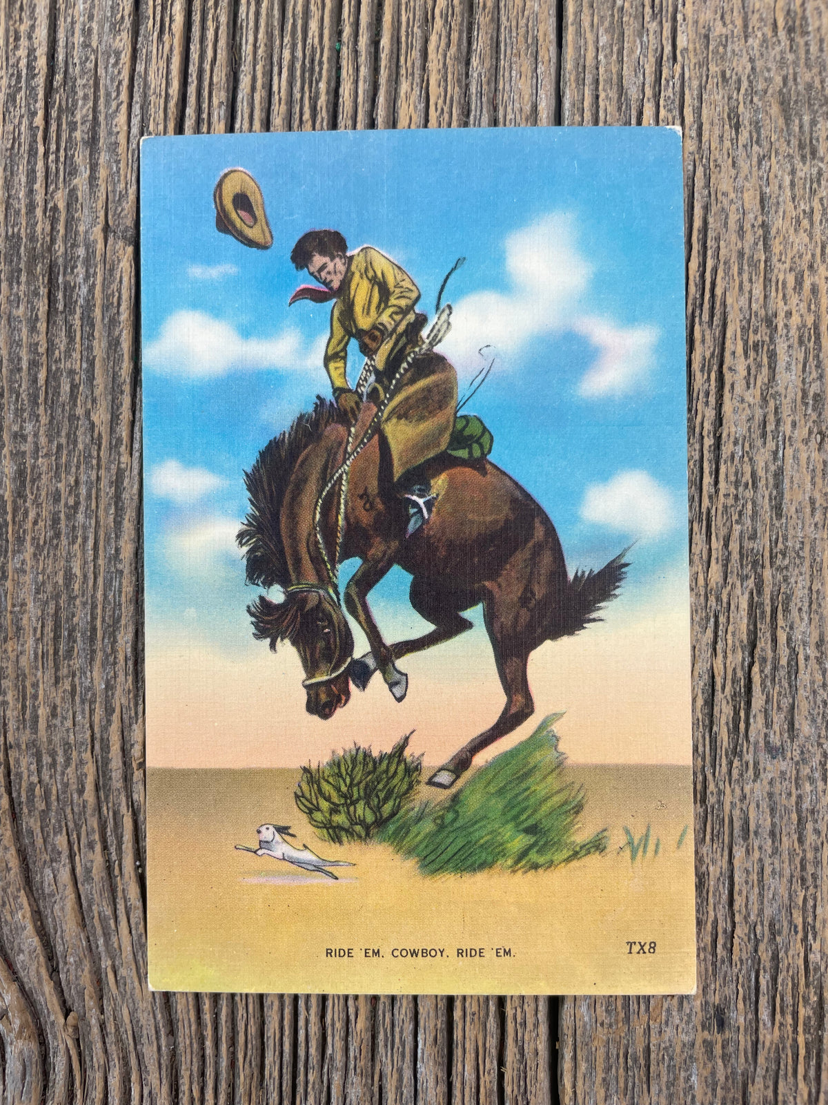 Ride ‘Em Cowboy Ride ‘Em Postcard
