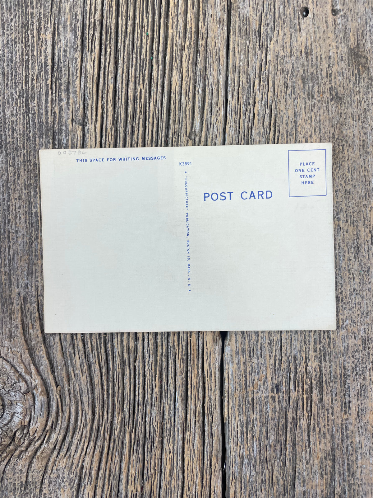 Ride ‘Em Cowboy Ride ‘Em Postcard