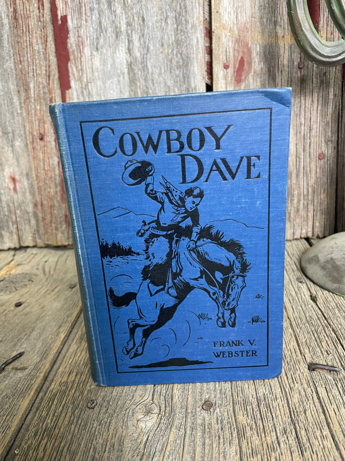 Cowboy Dave by Frank Webster Book
