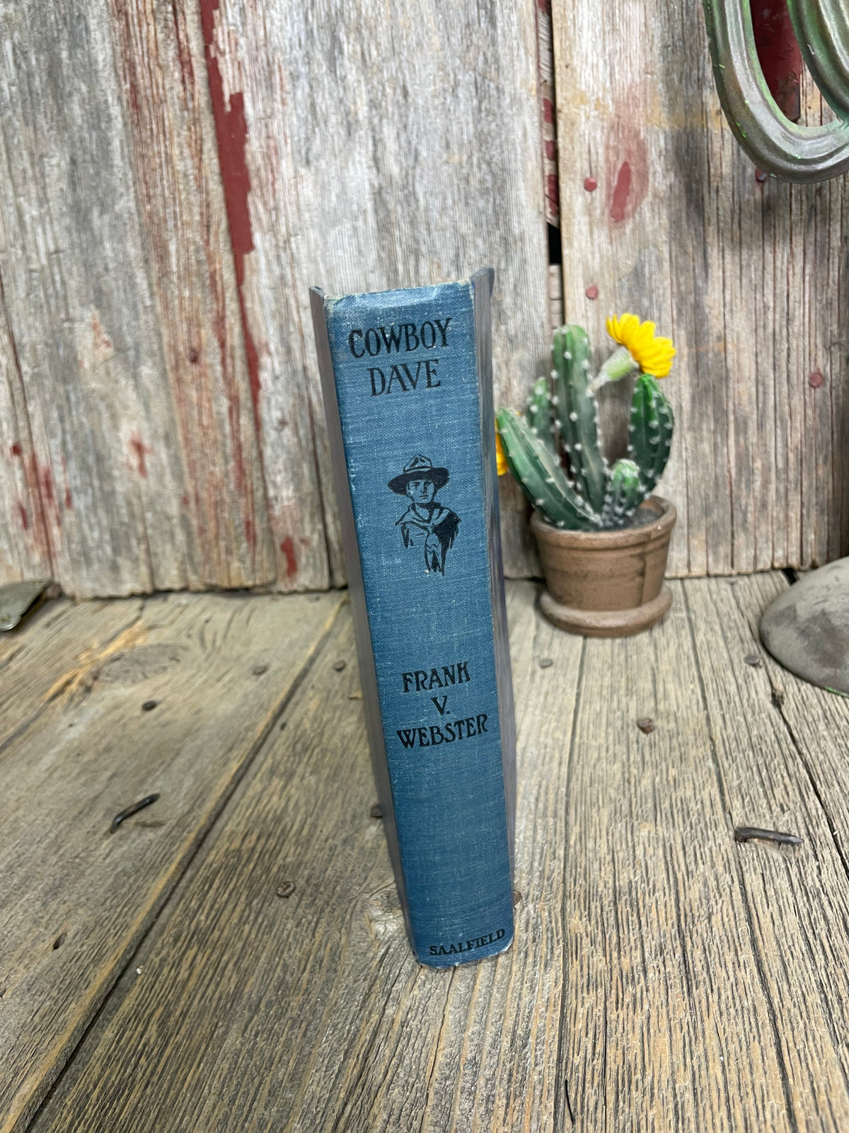Cowboy Dave by Frank Webster Book