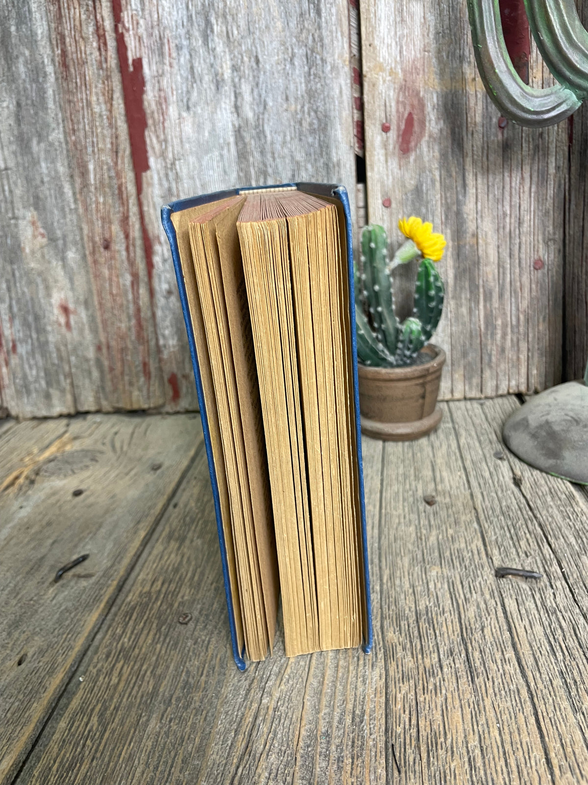 Cowboy Dave by Frank Webster Book