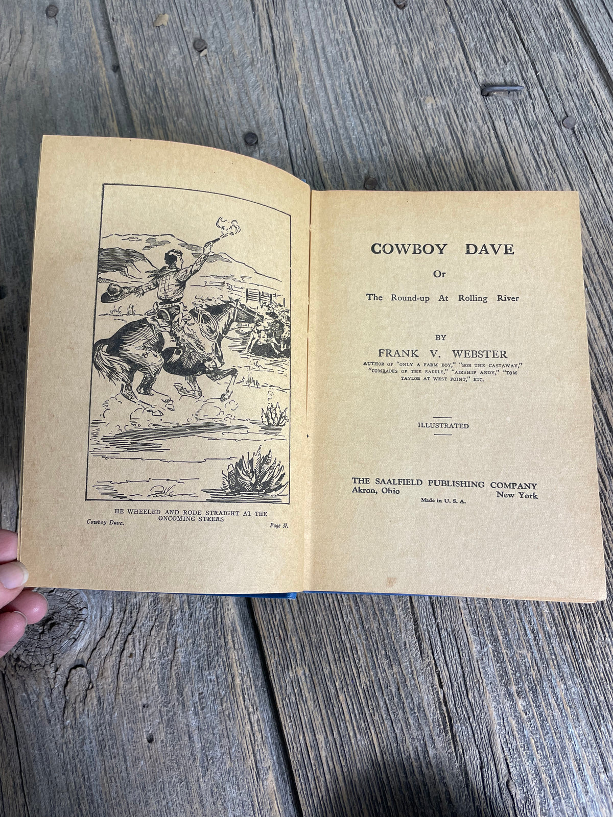Cowboy Dave by Frank Webster Book
