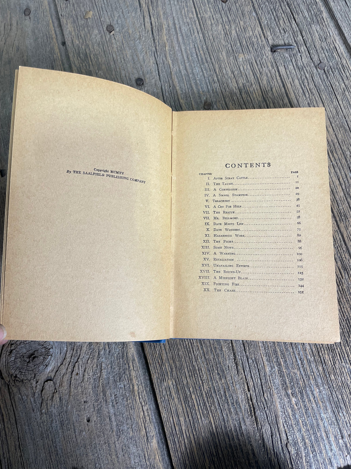 Cowboy Dave by Frank Webster Book