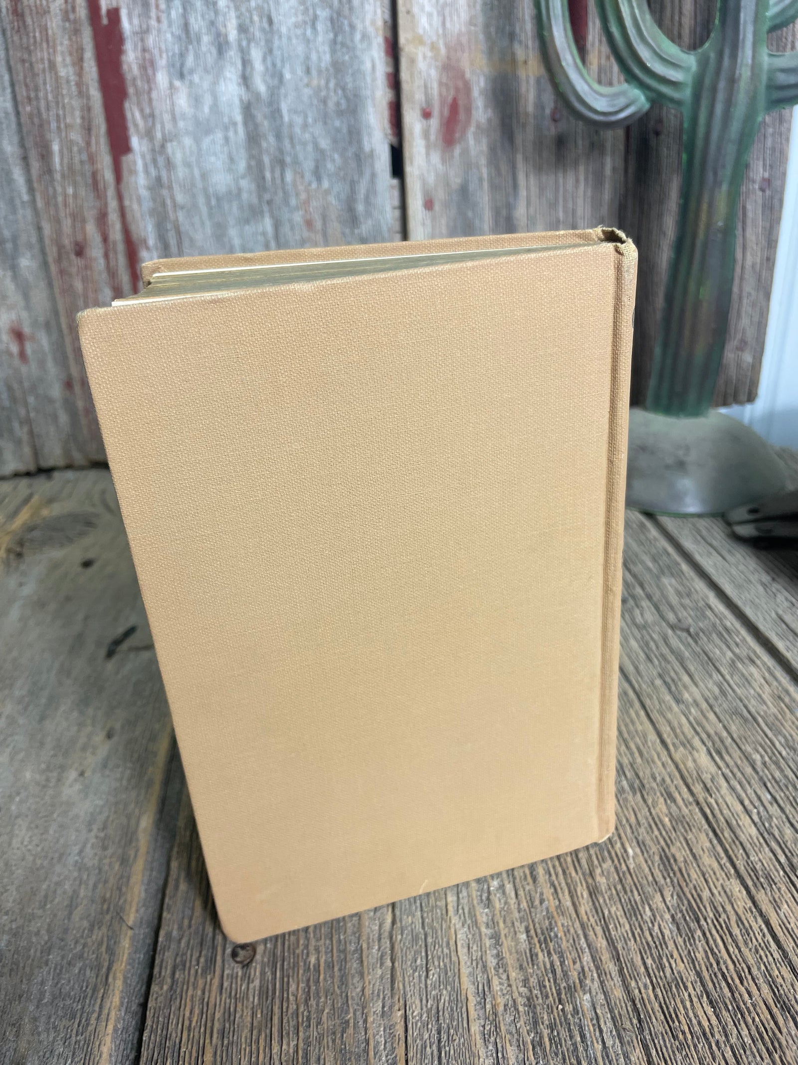 Bucky O’Connor by William Macleod Raine