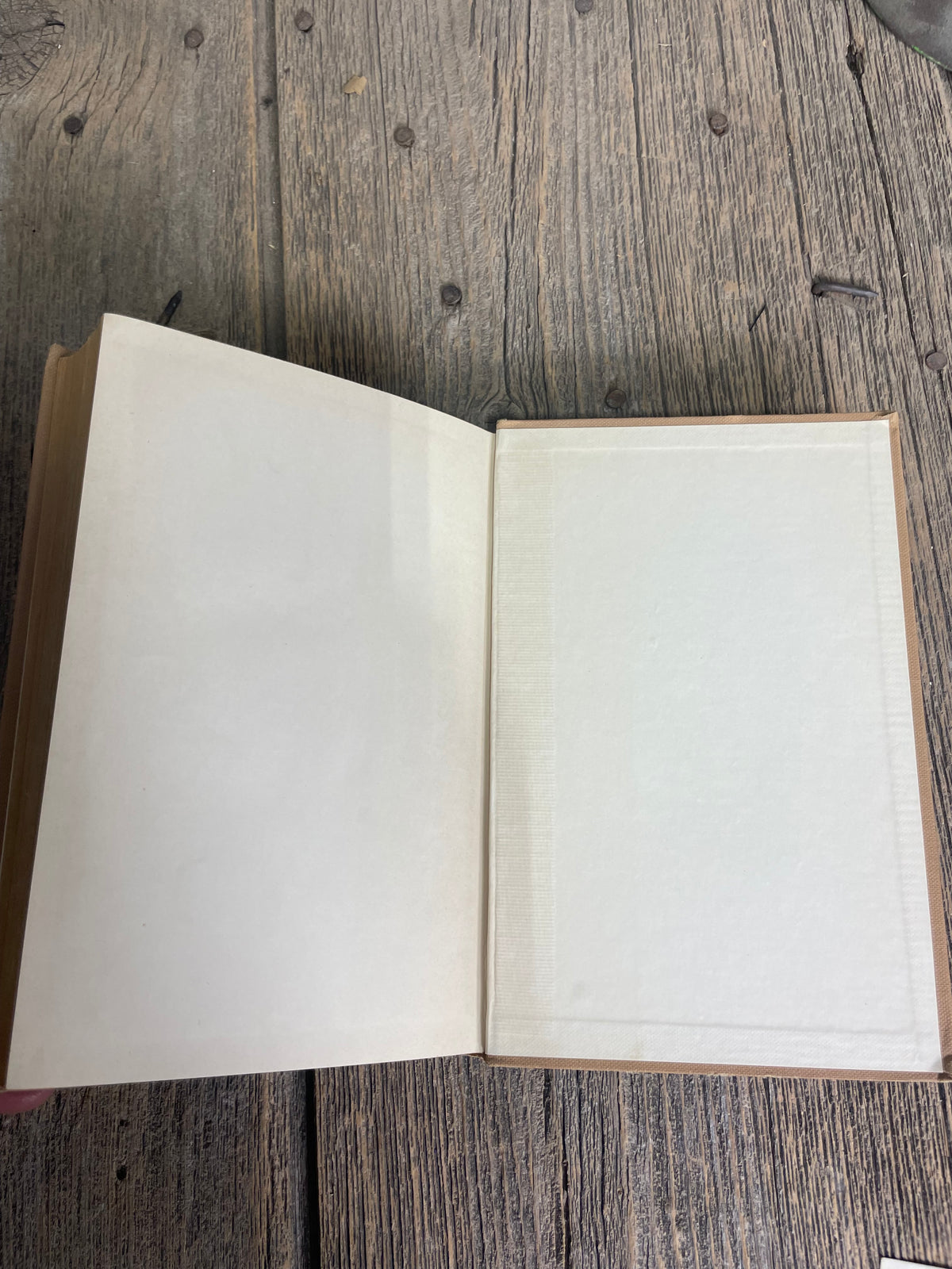 Bucky O’Connor by William Macleod Raine