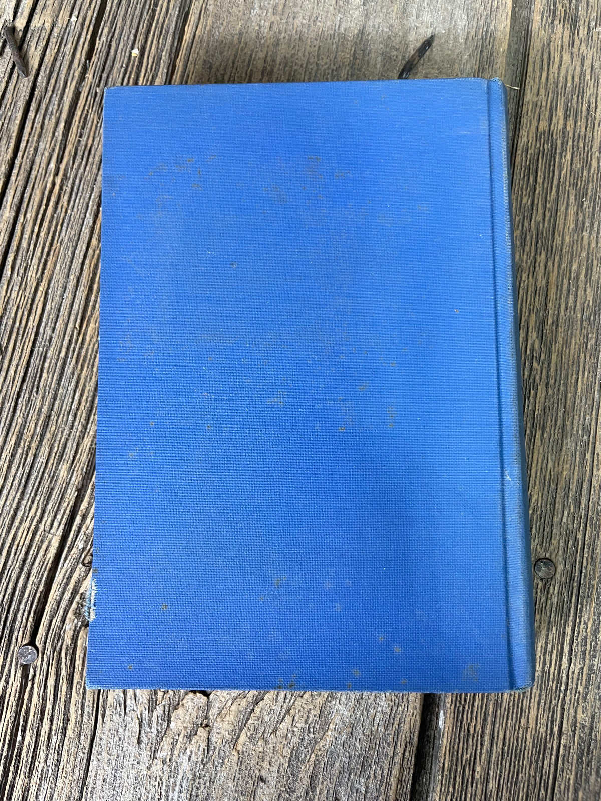 Silver Saddles by Covelle Newcomb Book