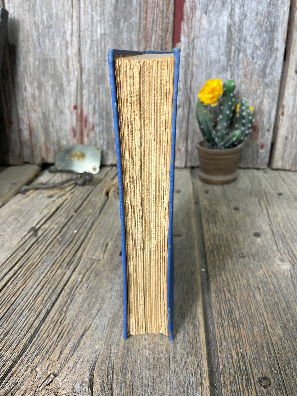 Silver Saddles by Covelle Newcomb Book