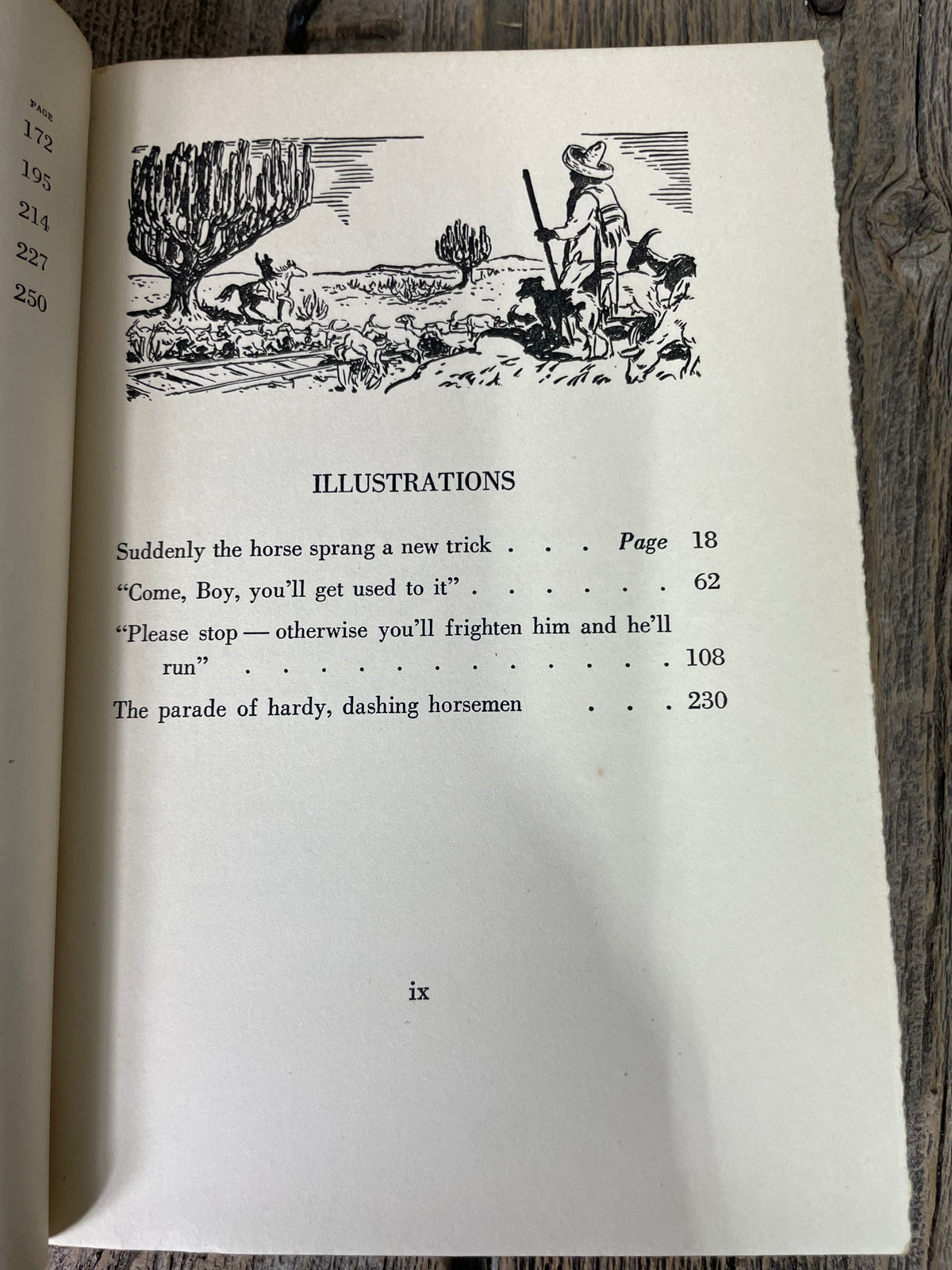 Silver Saddles by Covelle Newcomb Book