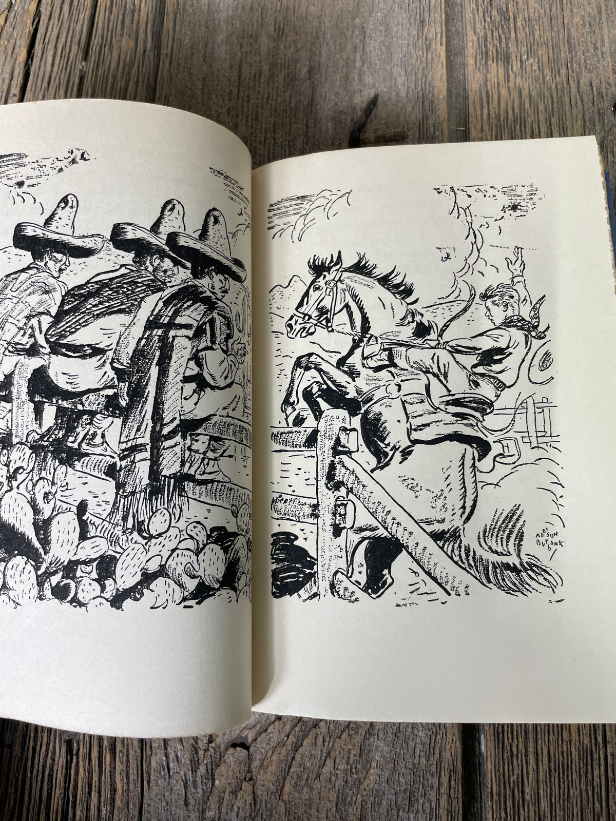 Silver Saddles by Covelle Newcomb Book