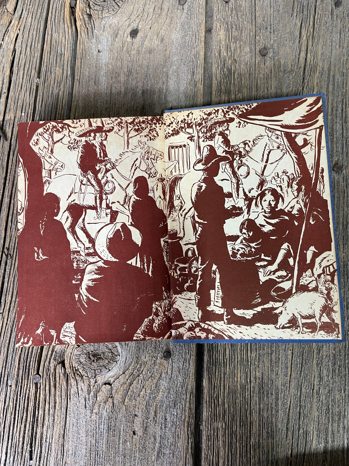 Silver Saddles by Covelle Newcomb Book