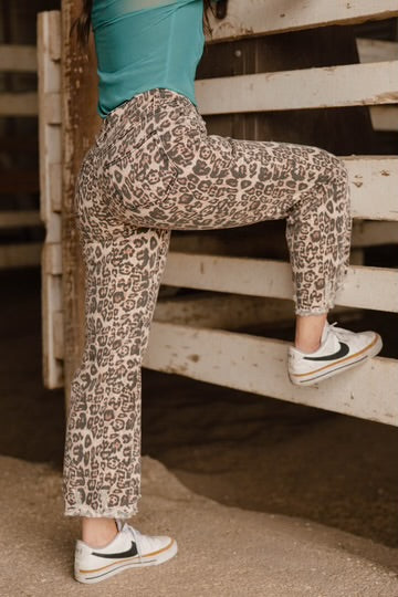 Range &amp; Roar Jeans