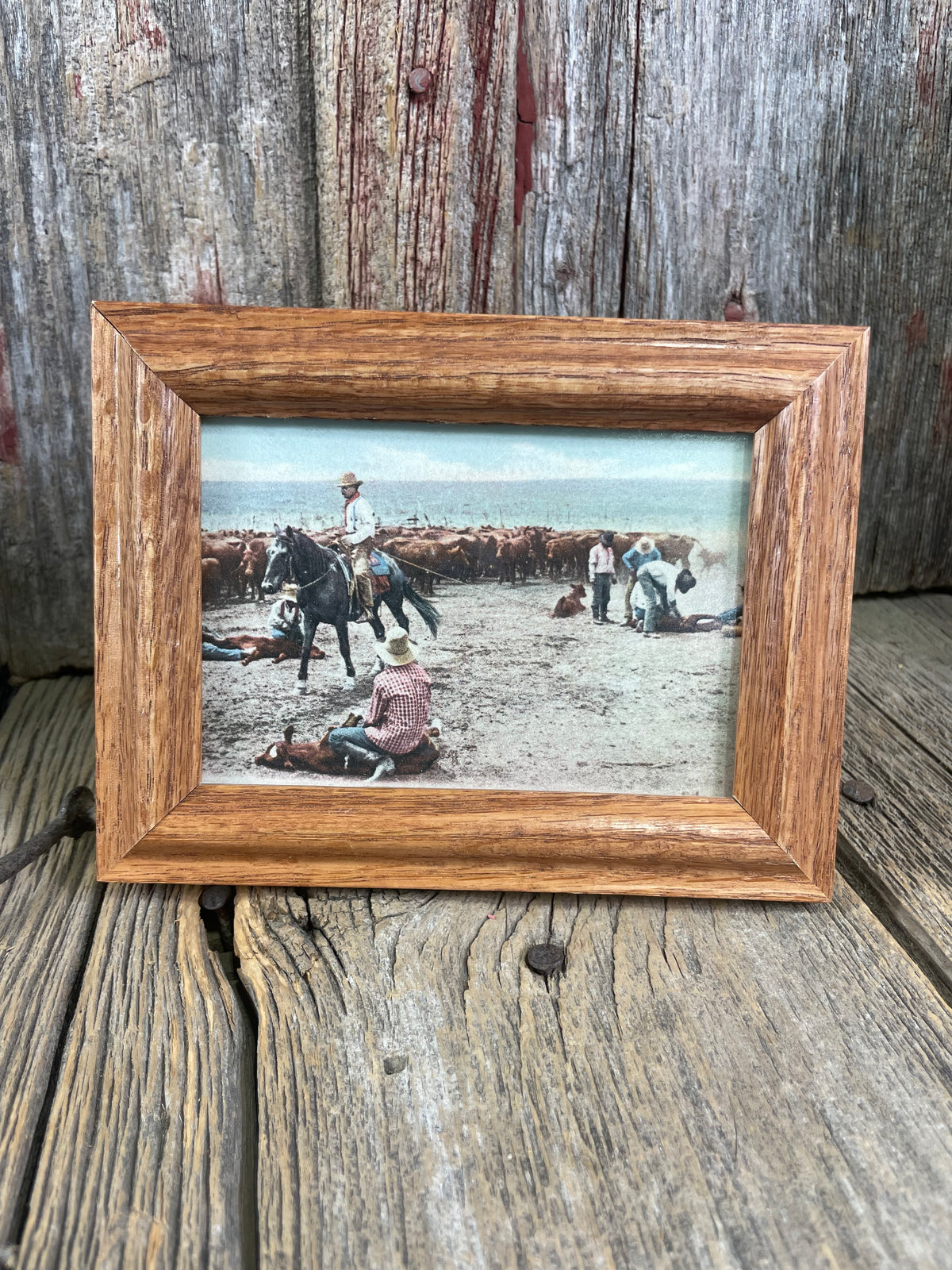 1950’s Postcard “Branding”