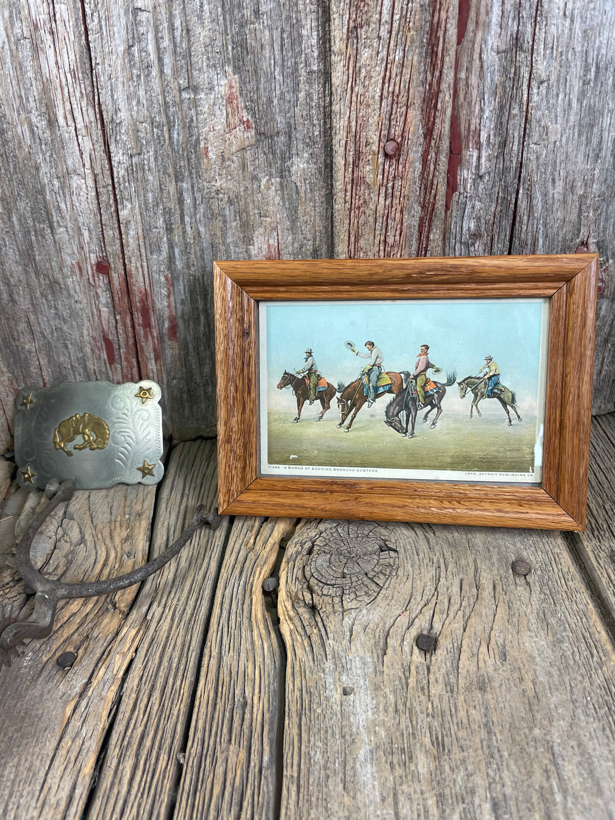 1950’s Postcard “A Bunch of Bucking Broncho Busters”