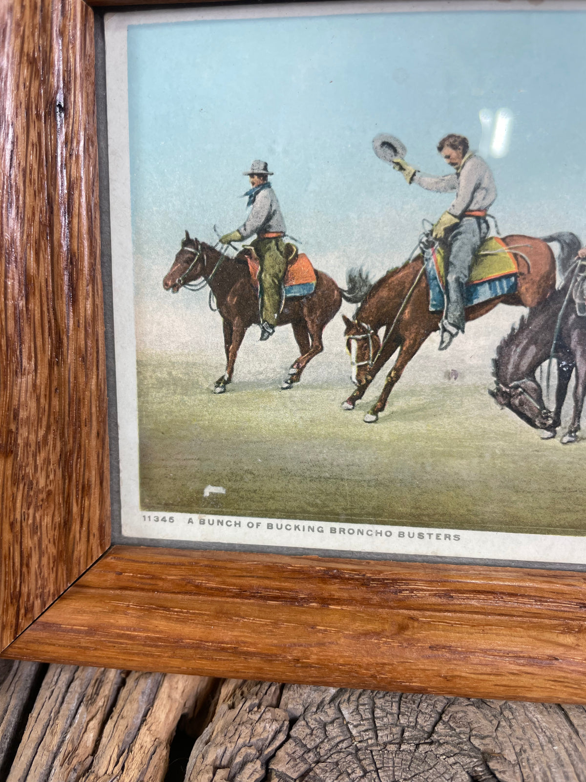 1950’s Postcard “A Bunch of Bucking Broncho Busters”