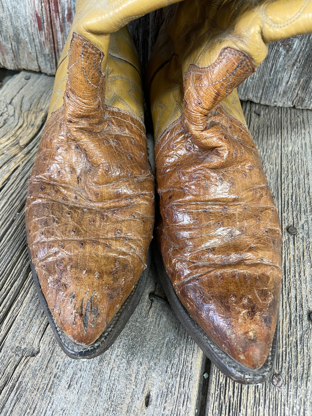 Men’s Ostrich Boots