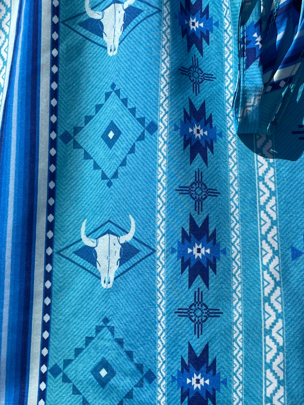 Cow Skull &amp; Aztec Turquoise Shorts